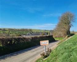 baillolet (10)